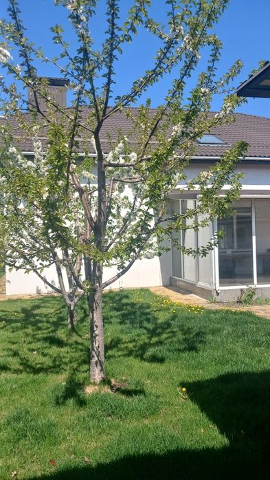 Продам будинок 5 км від Знака Кременчук село Піщане