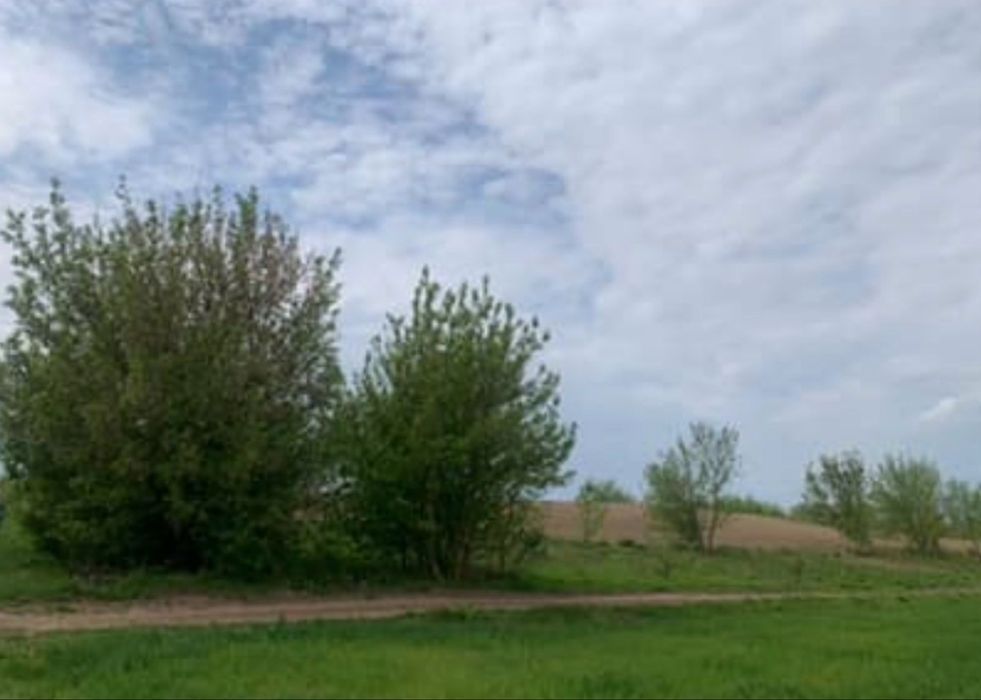 Продаж земельної ділянки р-н Млинівської