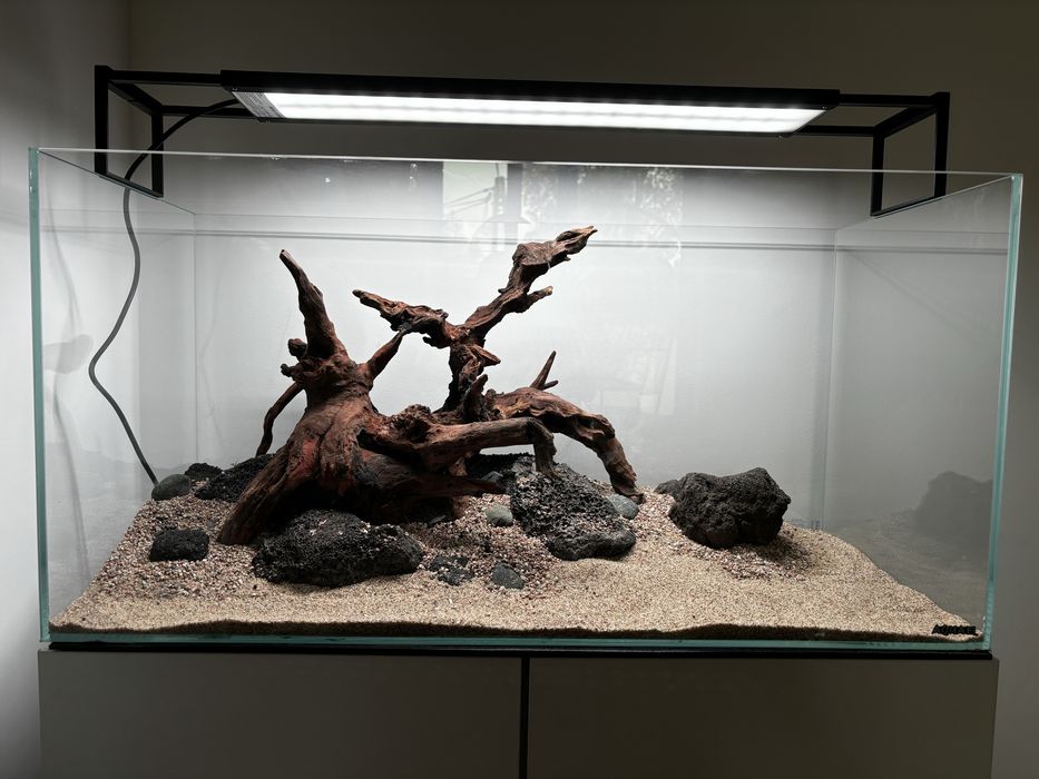 Zakładanie profesjonalnych akwariów - aquascaping