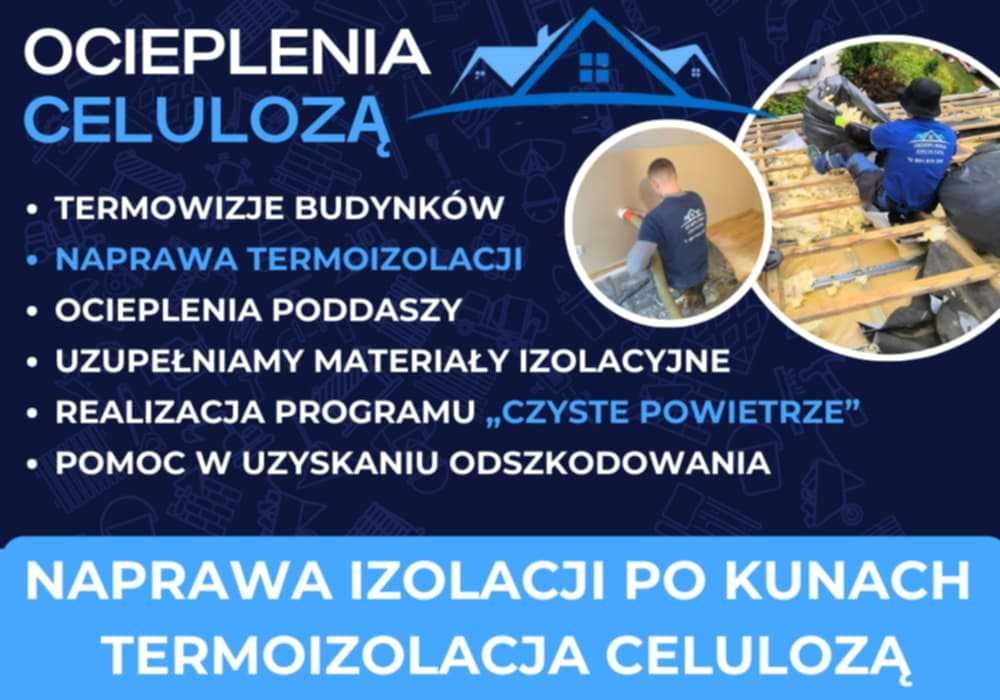 Naprawa izolacji po kunie, wdmuchiwanie celulozy, docieplenia izolacje