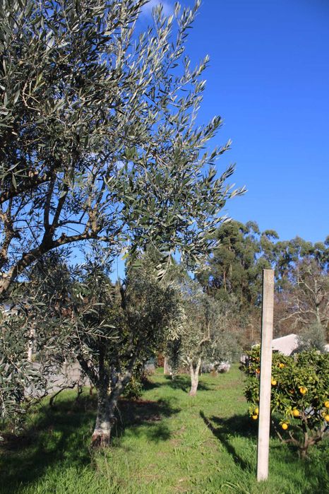 Casa para Reconstrução com terreno