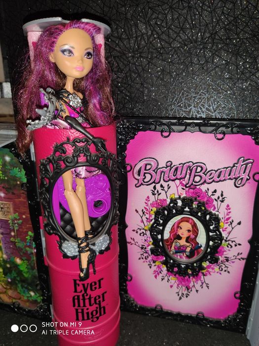 Ever After High Magiczna Książka + BRIAR