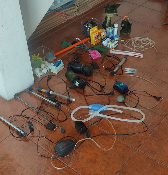Três aquarios+peixes