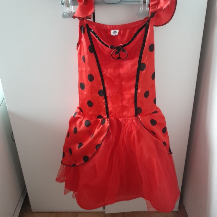 przebranie strój biedronki