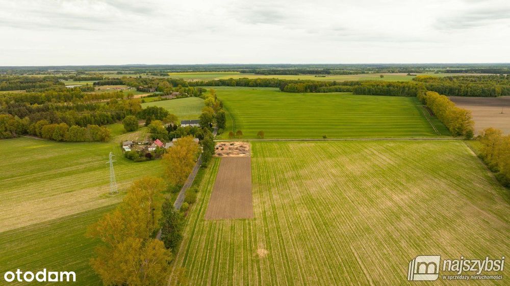 Dąbrowa Nowogardzka-działki z warunkami zabudowy