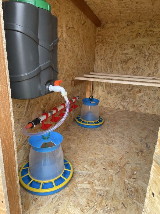 Курятник для птиці