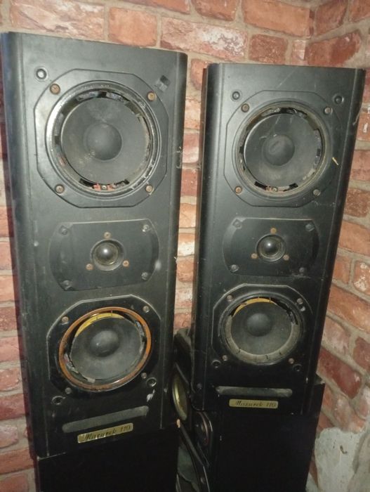 Tonsil Unitra Altus Alton Mildton ZG Fonica Części