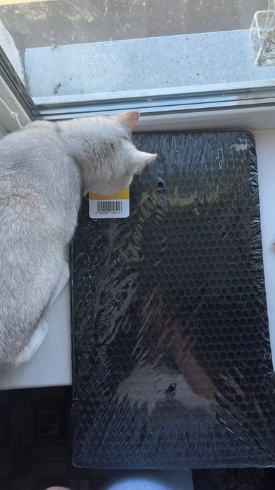 Килимок Pethouse під туалет для котів
Розмір 50*30 см
Не підій