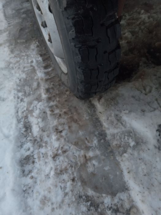 Волонянка на Оригіналі