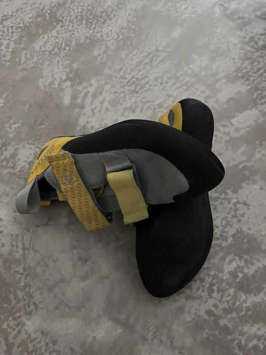 Pés de gato butora 37