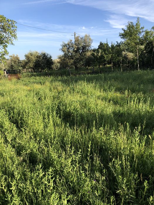 Terreno para projecto agricola