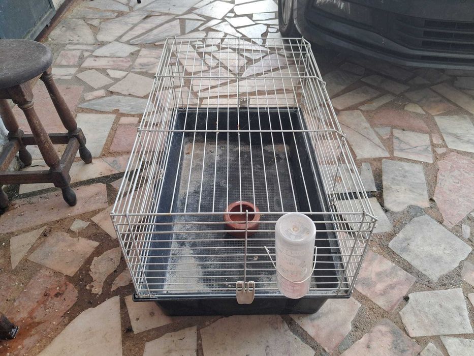 Casota para coelho anão