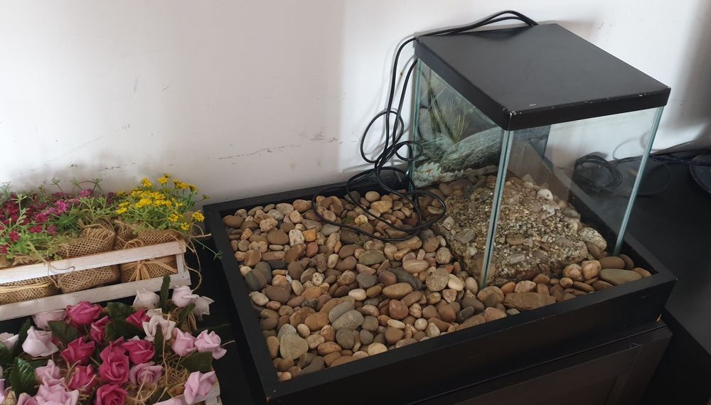 Vendo Aquario para peixes