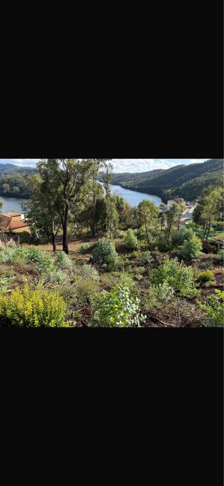 Vendo terreno com 1600 m2  zona de Gondomar -Melres