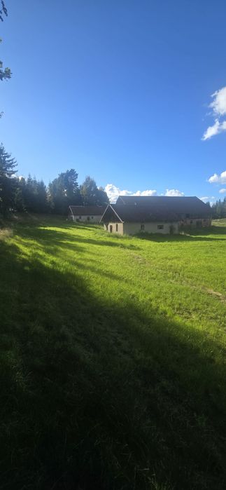 Sprzedam siedlisko w lesie Pieniezno Rozaniec