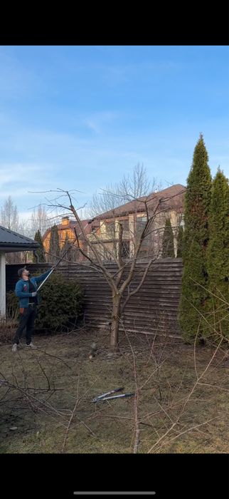 Обрізка плодових дерев, обрізка саду, обрізка кущів, обрізка дерев