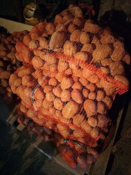 Ziemniaki w drugim gatunku