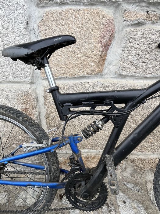 Bicicleta pneu 24