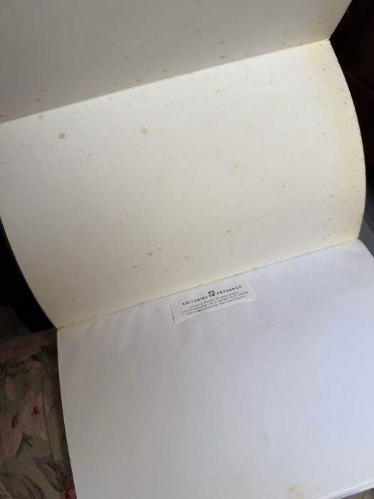 Livro “O Fogo e o Vento” Susanna Tamaro