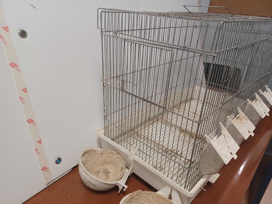Gaiola passaros em galvanizado