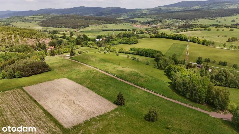3 Działki W Bartnicy | 3009 M² Z Gotowymi Warunkami Zabudowy