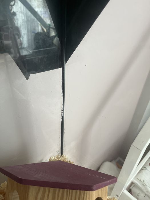 Akwarium terrarium dla chomika