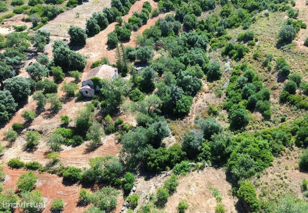 Terreno Com Ruína, Vale De Margem, Pêra, Silves