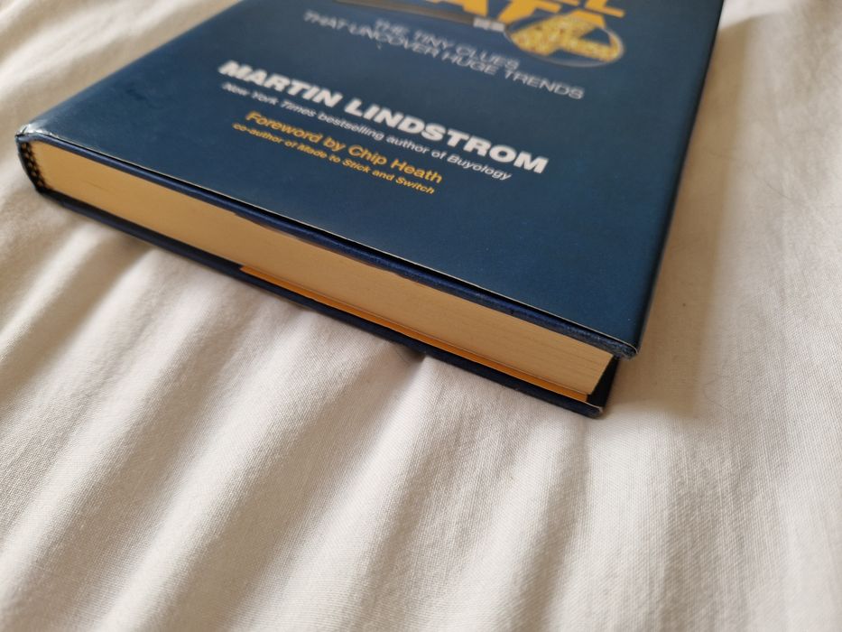 Martin Lindstrom - Small Data