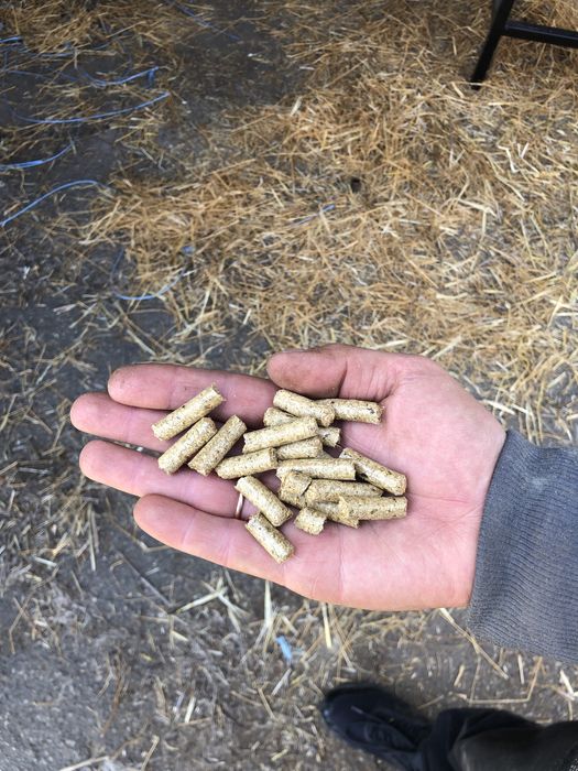 НОВИНКА! FLAX/ наповнювач лотків та підстилка для тварин