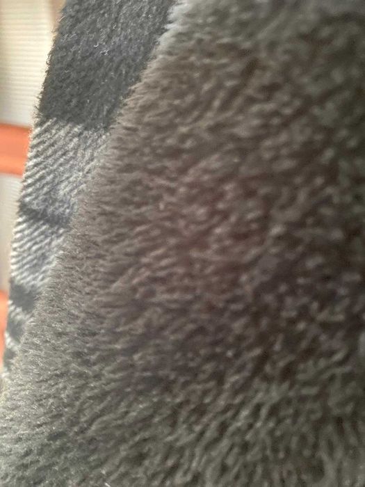 Koszula z miśkiem Cropp XL