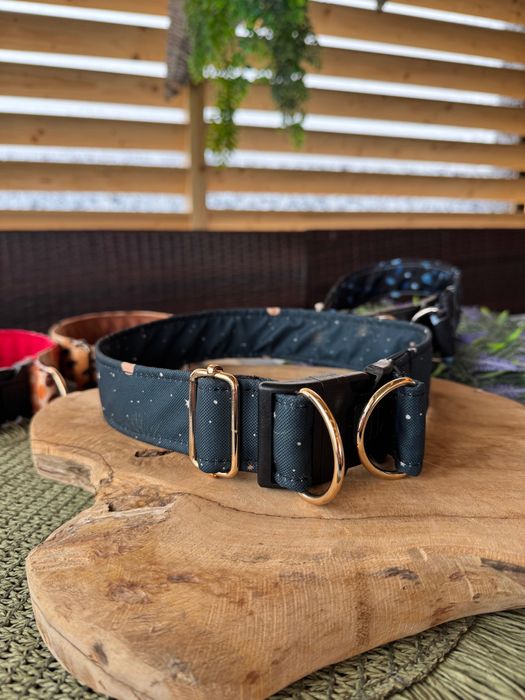 Obroża dla psa. 1 z 4