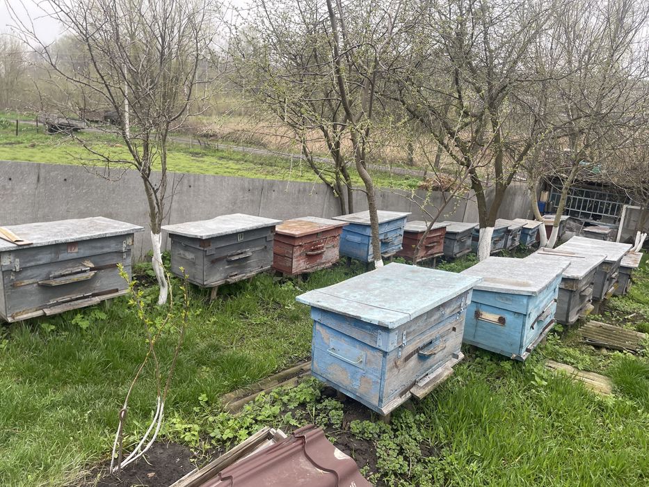Продам пусті вулики
