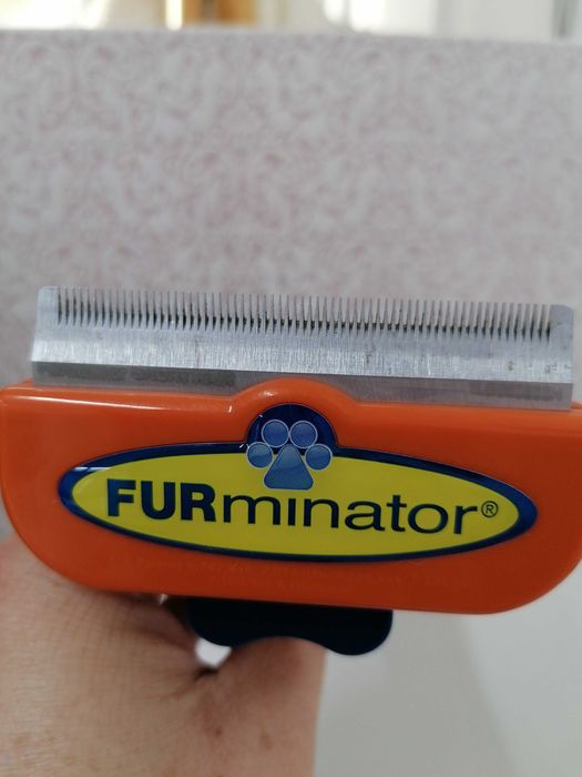 Escova Cão Pêlo Curto Furminator