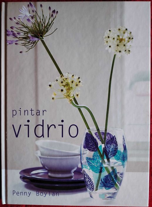 = Pintar Vidro =