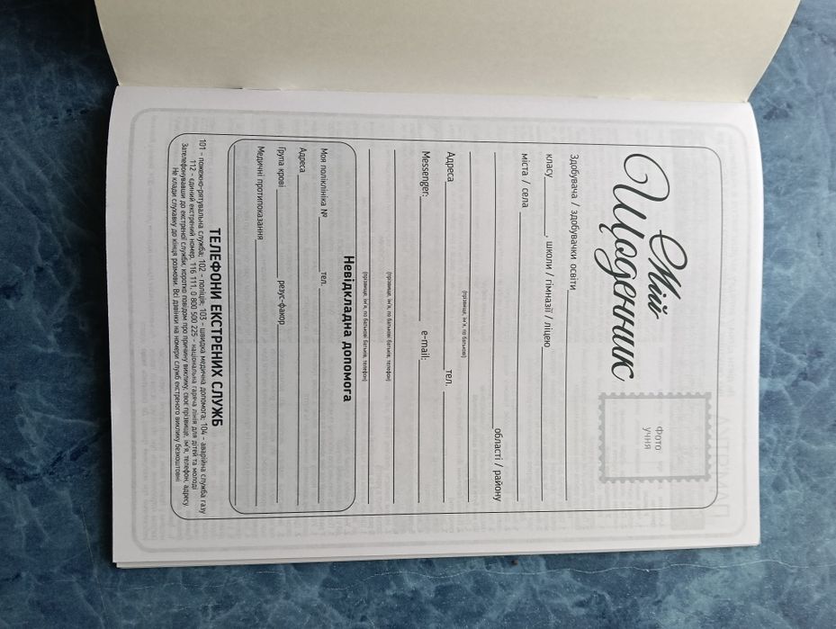 Дневники школьные