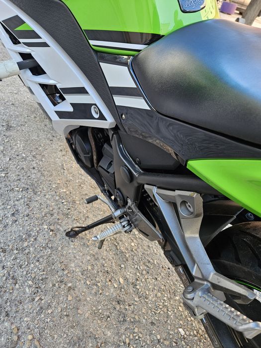 Kawasaki ninja 30th anniversary