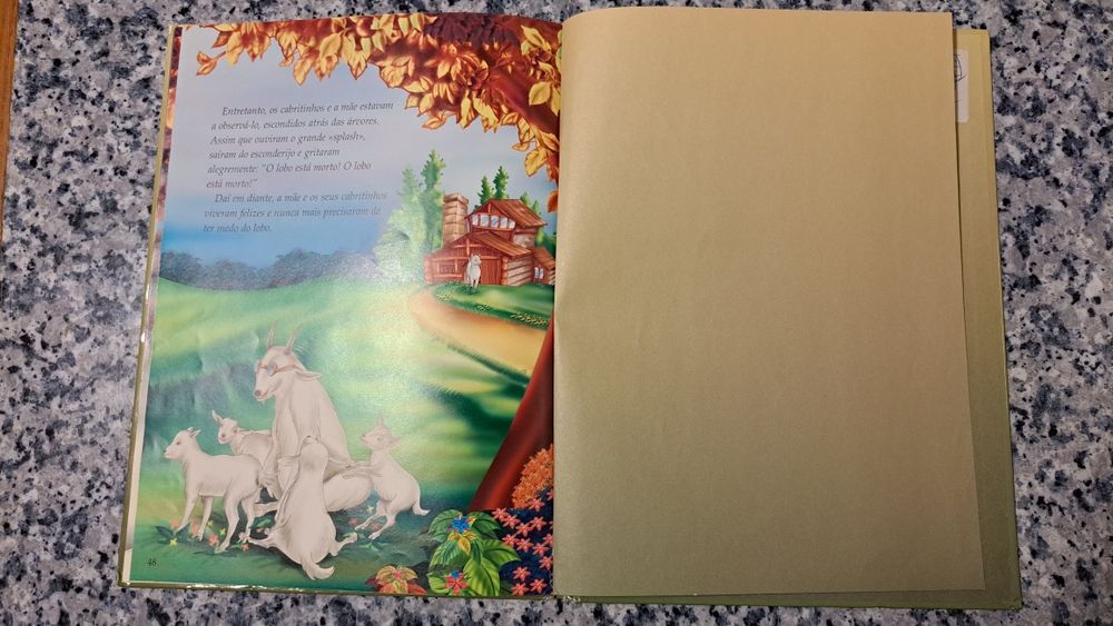 Livro Irmãos Grimm - Editorial Estampa