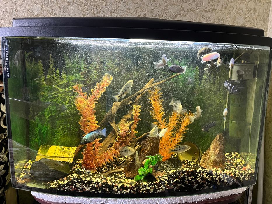 Продам аквариум 220л