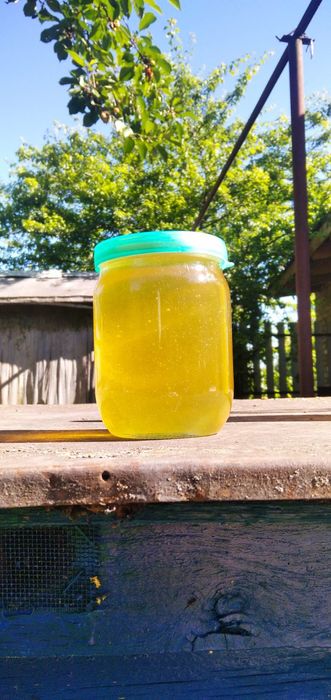 Мед травневий, акацієвий 2025 та липовий 2024 рік