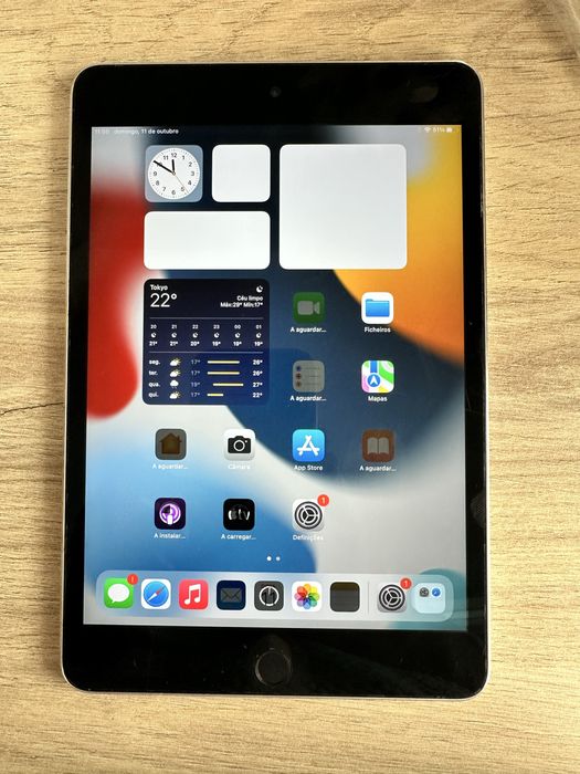 iPad Mini 4 Geração - 64GB - Wifi