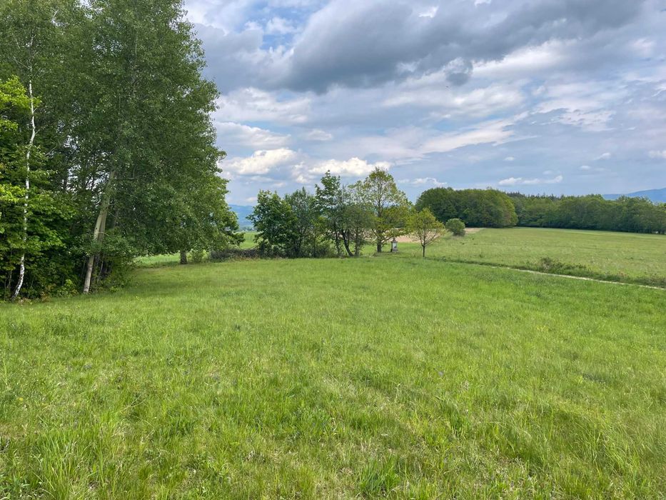 Widokowa działka budowlana z Warunkami Zabudowy - Starkówek - pod lasem - 1831 m² – 5 km od Polanicy Zdroju - z widokiem na Śnieżnik - Widok 3