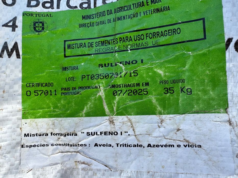 Fardos de palha semeada