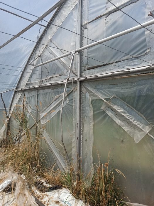 Tunel foliowy 10.5mx62m