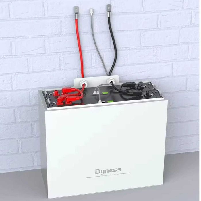 Комплект акумуляторів 2x Dyness B4850 48V 50Ah LiFePO4 (4.8 кВт·год)