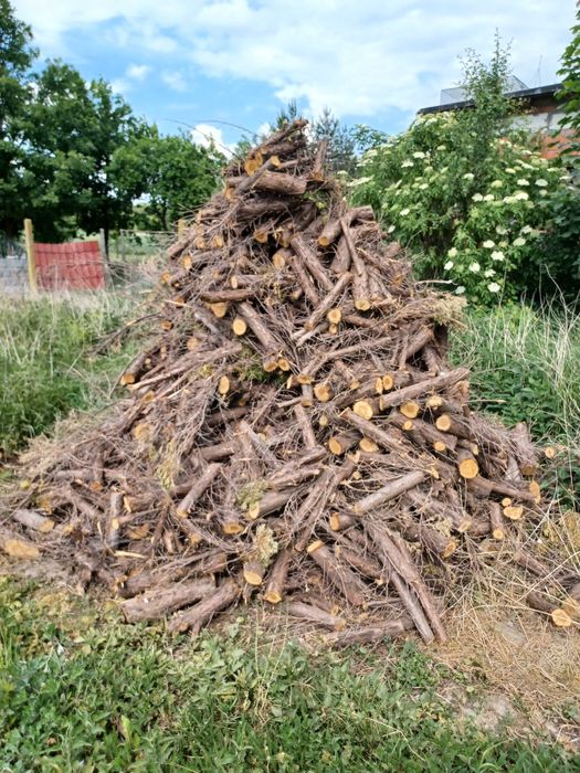 Drewno opałowe / do wędzenia jałowiec
