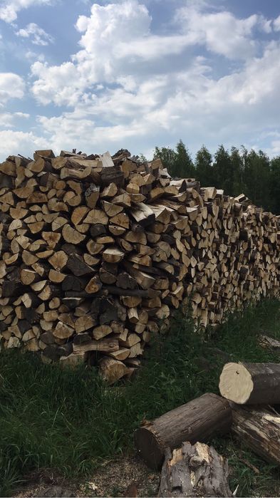 Drewno kominkowe sezonowane 2023