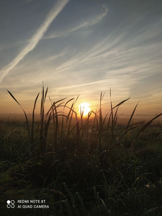 Działka, domek holenderski,  wczasy nad morzem