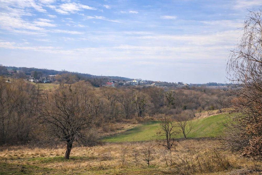 Земельна ділянка 3 га на межі з лісом — перспективна інвестиція