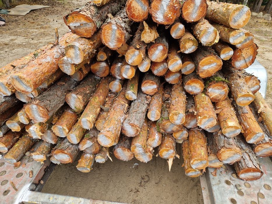 Stemple budowlane sosnowe