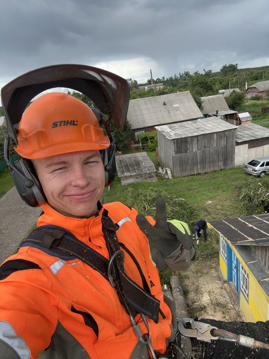 Професійне спилювання проблемних дерев